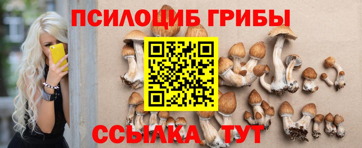 Лянтор  Галлюциногенные грибы Psilocybine cubensis  Вход с VPN 